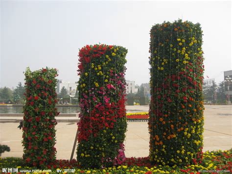 蒔花意思|蒔花:釋義,辨析,蒔花雅趣,